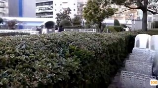 可约的小姐姐喲特选精彩直播六月三号