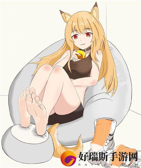 ZOOMSERVO兽狗产品系列