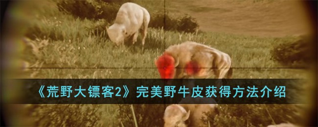荒野大镖客2完美野牛皮获得方法介绍