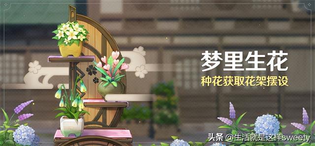 原神梦里生花