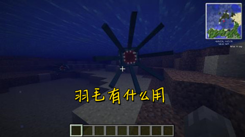 我的世界羽毛用法详解
