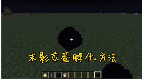 我的世界末影龙蛋孵化方法