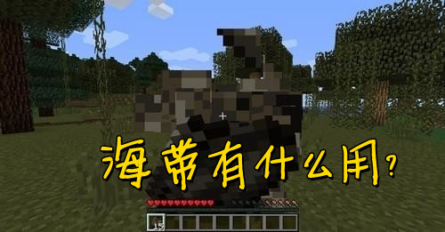 我的世界海带有什么用