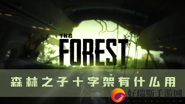 森林之子十字架可干嘛