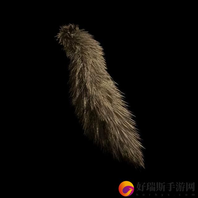 生化危机4重置版饰品获取