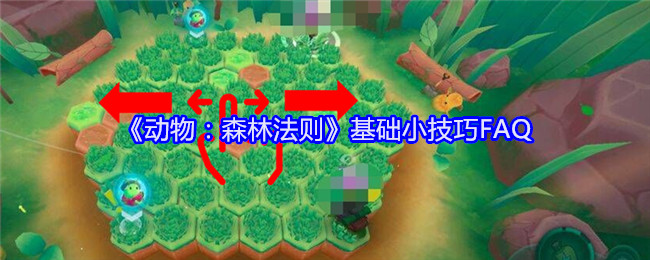 动物：森林法则基础小技巧FAQ