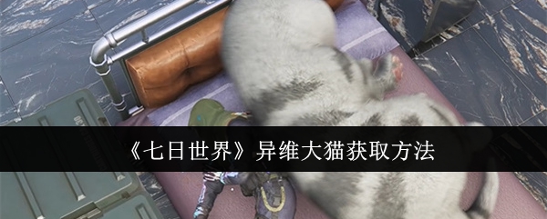 七日世界异维大猫获取方法