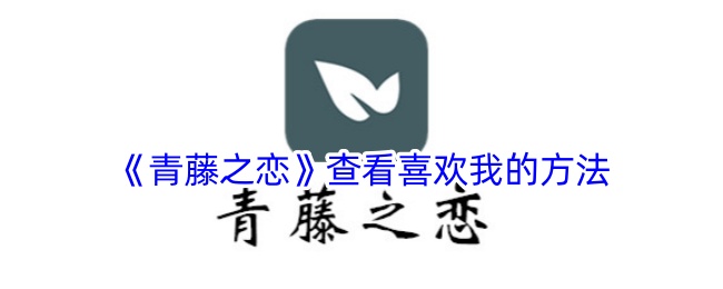 青藤之恋查看喜欢我的方法
