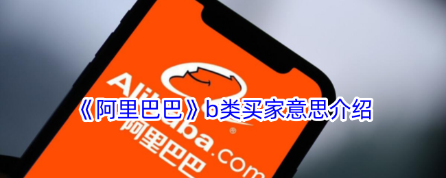 阿里巴巴b类买家意思介绍
