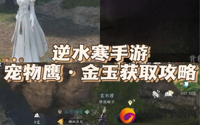 逆水寒手游鹰金玉