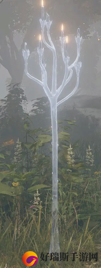 艾尔登法环雾林废墟掉落攻略