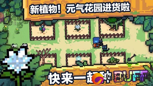 元气骑士万年竹子如何